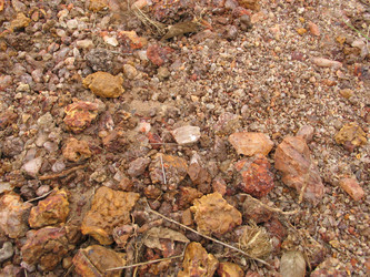 Similar image 1362855