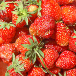 Similar image 1363094