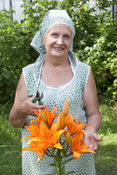 Similar image 1363103