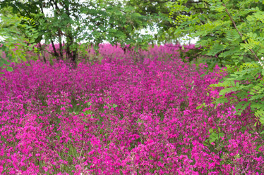 Similar image 1363239