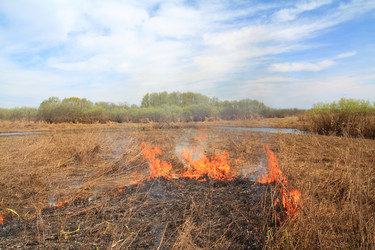 Similar image 1363364