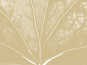 Similar image 1363371