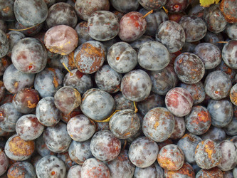 Similar image 1363431