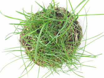 Similar image 1363456