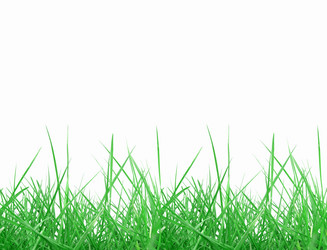 Similar image 1363505