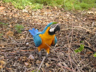 Similar image 1363598