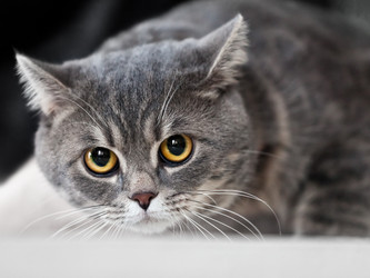 Similar image 1363641