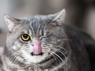 Similar image 1363681