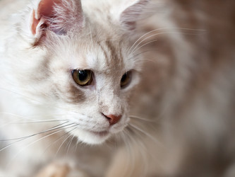 Similar image 1363701