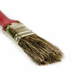 Similar image 1363729