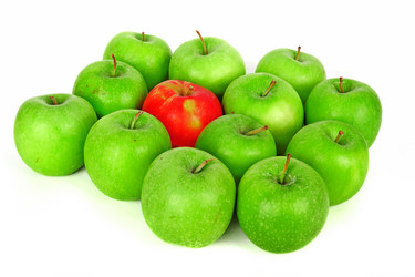 Similar image 1363970