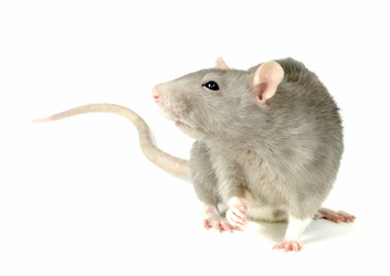 Similar image 1364071