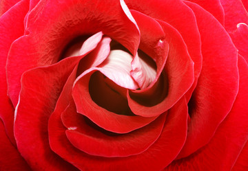 Similar image 1364072