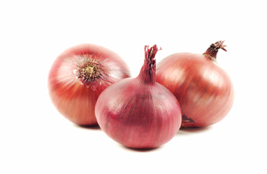 Similar image 1364075