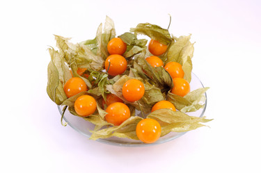 Similar image 1364126