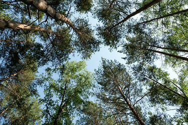 Similar image 1364200