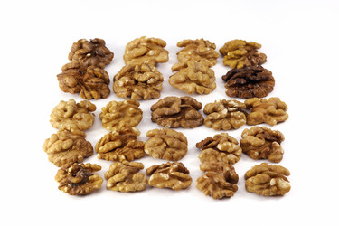 Similar image 1364223