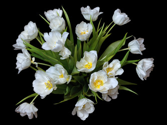 Similar image 1364245