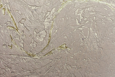 Similar image 1364276