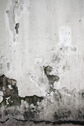 Similar image 1364292