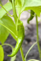 Similar image 1364389