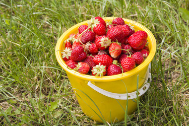 Similar image 1364390