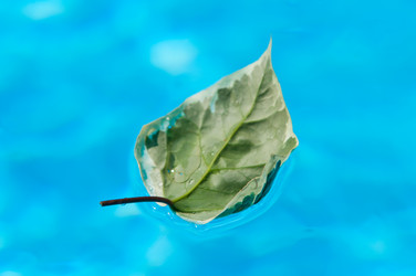 Similar image 1364398