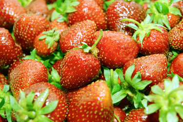 Similar image 1364401