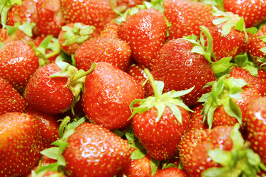 Similar image 1364403