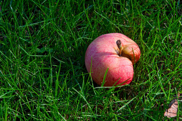 Similar image 1364437