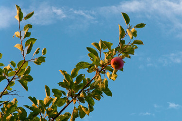 Similar image 1364438