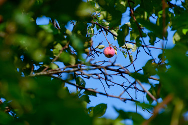 Similar image 1364439