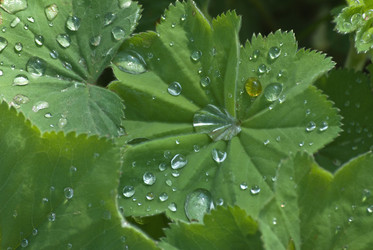 Similar image 1364450