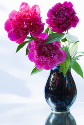 Similar image 1364466