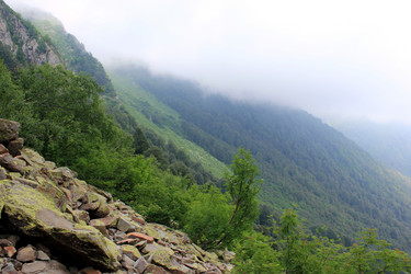 Similar image 1364469