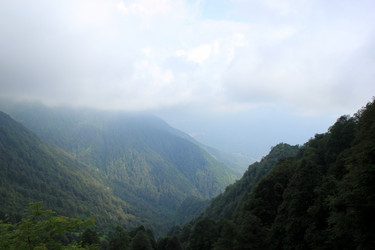 Similar image 1364472