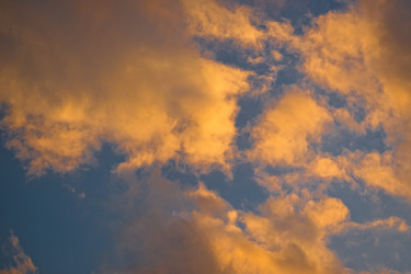 Similar image 1364524