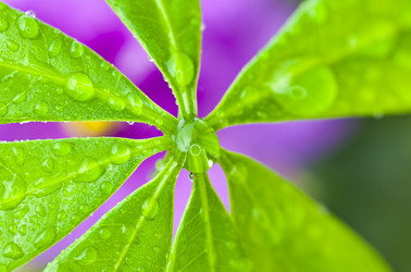 Similar image 1364534