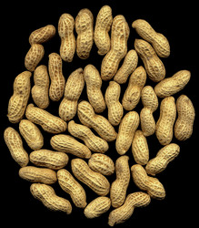 Similar image 1364607