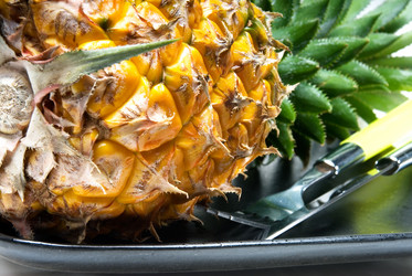 Similar image 1364718