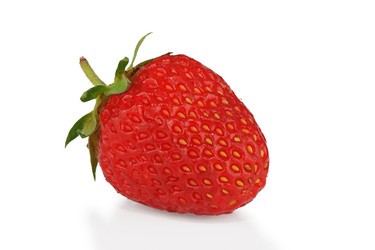 Similar image 1365248