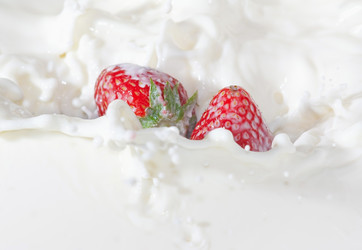 Similar image 1365252