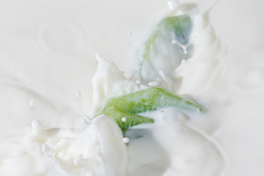 Similar image 1365258