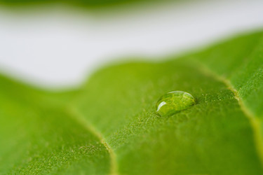 Similar image 1365300