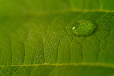 Similar image 1365301