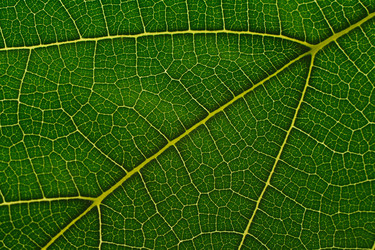 Similar image 1365314