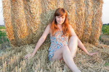 Similar image 1365556