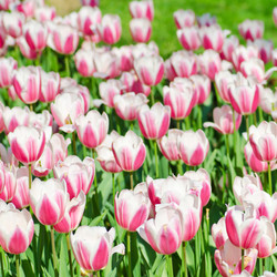 Similar image 1365563