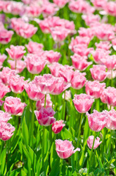 Similar image 1365565