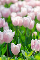 Similar image 1365568